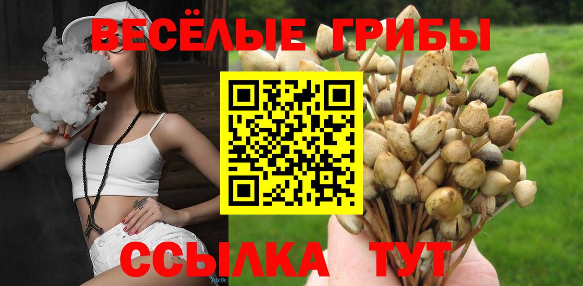 Псилоцибиновые грибы мицелий Ефремов