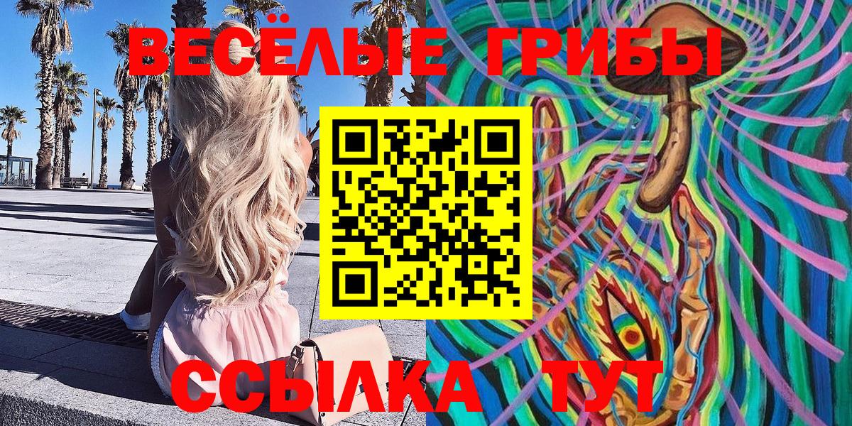 купить наркотики цена  Вход с VPN  Ефремов  Псилоцибиновые грибы Psilocybine cubensis  Галлюциногенные грибы MAGIC MUSHROOMS 